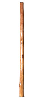 Natural Finish Didgeridoo (TW1799)